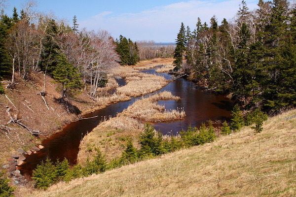 Near Toney River