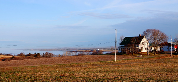A farm overlooking the Bay of Fundy